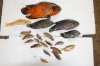 DSC_0029.JPG DSC_0029.JPG