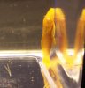 100_3069.JPG