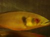DSC00480.JPG