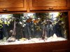 fish1.jpg