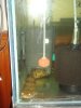 DSC01333.JPG