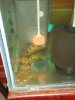 DSC01336.JPG