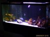 IMAGE_00558.JPG