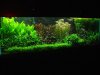 TOTM fishman76092.JPG