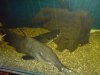 DSC00174.JPG