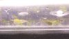 100_3130.JPG
