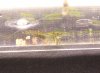 100_3131.JPG