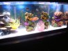 DSC03794.JPG