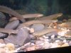 DSC07939.JPG