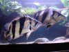 DSC07188.jpg