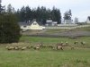 DSC01516.JPG