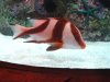 IMG_1053.JPG