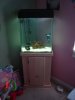 DSC03724.JPG