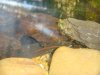 DSC00992.JPG