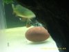 01-06-08 new gar 164.jpg