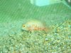 fish in the shed 049.jpg
