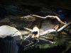 Baltimore Aquarium 10-08 044.jpg
