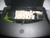 seed material.jpg