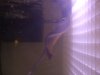 DSCF1221.jpg