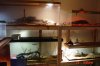 DSC03616.JPG
