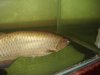 DSC03109.JPG