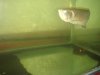 DSC03113.JPG