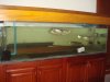DSC03199.JPG