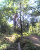 07-20-08_1111.jpg