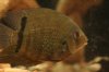 _MG_1628.jpg