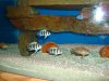 DSC00903.JPG