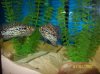 100_0607.jpg