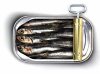 sardines in can good one.jpg