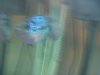 DSCN1638.JPG