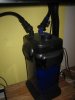 new fish pics 045.jpg