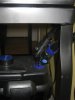 new fish pics 046.jpg
