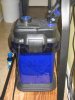 new fish pics 047.jpg