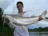lince catfish.jpg
