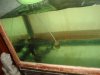 DSC03216.JPG