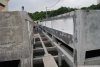 Resize Tank-8.jpg