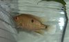 DSC08571.JPG