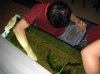 Resize of IMG_2133.JPG