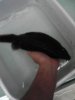 0504061949.jpg