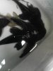 0504062023.jpg