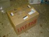 DSC08320.JPG