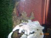 DSCN0363.JPG