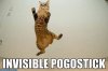 Invisible_Pogostick.jpg