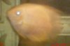 SUNP0075.JPG