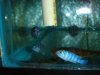 DSC01648.JPG