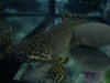 DSC00104.JPG