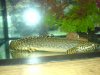 DSC00111.JPG